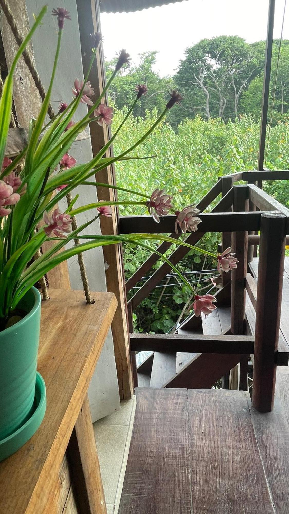 Hostal Velero Relax Guachaca Zewnętrze zdjęcie